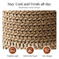 🥳SUMMER HOT SALE🥳💞50K+ SOLD!💥50% OFF! 🔥 Elegant Woven Straw Sun Hat with Bow – Breathable, Foldable & Perfect for Beach & Travel 👒