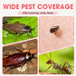 Fipronil Indoor Pest Control Spray 300ml