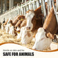 Topical Insecticide for Livestock