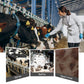 Topical Insecticide for Livestock
