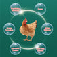Multi-symptom oral solution for poultry