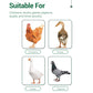 Multi-symptom oral solution for poultry