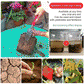 🔥BUY 1 GET 1 FREE🔥Seasonal Promotion: Soil Pro Activator