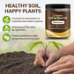 🔥BUY 1 GET 1 FREE🔥Seasonal Promotion: Soil Pro Activator