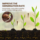 🔥BUY 1 GET 1 FREE🔥Seasonal Promotion: Soil Pro Activator