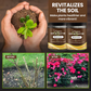 🔥BUY 1 GET 1 FREE🔥Seasonal Promotion: Soil Pro Activator