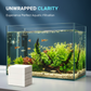 🐠 COMPRE 1 LEVE 2! ✨ FOLHAS CLARIFICADORAS PARA AQUÁRIO – Água Cristalina em 24 Horas, Elimina Odores e Impurezas, Seguro para Todos os Peixes e Plantas 🌿🔮