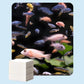 🐠 COMPRE 1 LEVE 2! ✨ FOLHAS CLARIFICADORAS PARA AQUÁRIO – Água Cristalina em 24 Horas, Elimina Odores e Impurezas, Seguro para Todos os Peixes e Plantas 🌿🔮