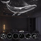 🔭 50% DE DESCONTO AGORA! 🌌 Projetor de céu estrelado e luz noturna 2 em 1 – Dois modos, imagens intercambiáveis e alimentação por USB – Noites tranquilas, quartos mágicos 🛌