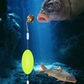 Montagem de pesca universal com bóia