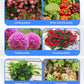 ✨ Solução nutritiva multiusos para plantas — Promove o crescimento e a vitalidade! ✨