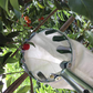 📢📢50% OFF !! ⏰Cesto Colhedor de Frutas – Design Durável, Fácil Encaixe e Perfeito para Alcançar Galhos Altos Sem Escada 🌳