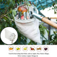 📢📢50% OFF !! ⏰Cesto Colhedor de Frutas – Design Durável, Fácil Encaixe e Perfeito para Alcançar Galhos Altos Sem Escada 🌳