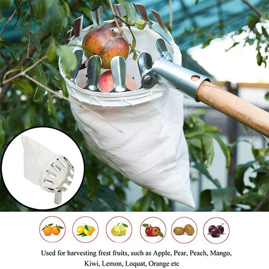 📢📢50% OFF !! ⏰Cesto Colhedor de Frutas – Design Durável, Fácil Encaixe e Perfeito para Alcançar Galhos Altos Sem Escada 🌳