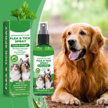 🍃 Spray natural contra pulgas e carraças para cães e gatos 🐾 Mantém o teu querido animal de estimação livre de parasitas 🐶🐱✨