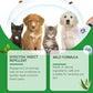 🍃 Spray natural contra pulgas e carraças para cães e gatos 🐾 Mantém o teu querido animal de estimação livre de parasitas 🐶🐱✨