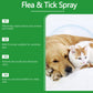 🍃 Spray natural contra pulgas e carraças para cães e gatos 🐾 Mantém o teu querido animal de estimação livre de parasitas 🐶🐱✨