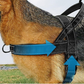 🥳PROMOÇÃO DE 2026🥳💞Mais de 50 mil unidades vendidas!🐕💪 50% DE DESCONTO! Arnês tático resistente para cães – sem puxões, sem estrangulamento. Faixas refletoras para passeios noturnos. Alça almofadada e de fácil manuseio. 🛡️✨