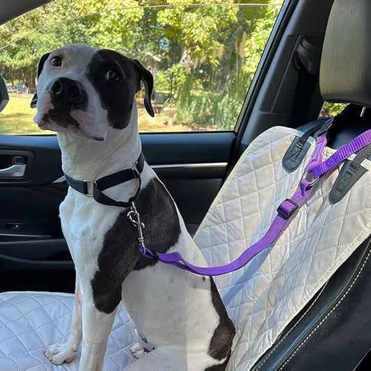 🔥Desconto de 50% no último dia!🔥Cinto de segurança para cães 2 em 1 e guia de passeio
