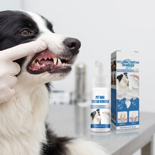 Espuma para remoção de tártaro e higiene oral de animais de estimaçã