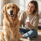 Espuma para remoção de tártaro e higiene oral de animais de estimaçã