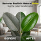 🥳 PROMOÇÃO DE 2026 🥳💞 Mais de 50 mil unidades vendidas! 🌸🌺 50% DE DESCONTO! Produto de limpeza para flores e plantas artificiais – De ação rápida, inodoro e ecológico. Pulverize e deixe secar ao ar. Restaura o brilho natural