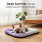 🥳 MEGA PROMOÇÃO 2026 🥳💞 +50K VENDIDOS! 🐶❄️ 50% OFF! Tapete de Gel Refrescante para Pets – Sem necessidade de refrigeração, alívio instantâneo do calor. Respirável e atóxico. Ajuda os pets a dormir frescos o verão todo! 🌿✨