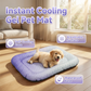 🥳 MEGA PROMOÇÃO 2026 🥳💞 +50K VENDIDOS! 🐶❄️ 50% OFF! Tapete de Gel Refrescante para Pets – Sem necessidade de refrigeração, alívio instantâneo do calor. Respirável e atóxico. Ajuda os pets a dormir frescos o verão todo! 🌿✨