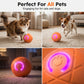 ⏰🔥LIMITED TIME 50% OFF!🔥50K+ SOLD!   🐾 AUTO-BOUNCING SMART PET BALL WITH REMOTE CONTROL— 3 Interactive Modes | Chew-Resistant E-TPU | USB-C Rechargeable 🎾