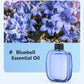 🔥Desconto de 50% no último dia!🔥Difusor de Aromaterapia Automático