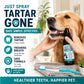 🐾50% DE DESCONTO AGORA! Spray Suave de Limpeza Dental para Pets ‑ Spray Removedor de Tártaro Formulado por Veterinários para Cães e Gatos, Solução Segura de Higiene Oral para Eliminar o Mau Hálito e Reduzir a Placa