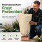 ❄️ Proteção contra a geada para plantas | Proteção para jardins de inverno