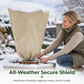 ❄️ Proteção contra a geada para plantas | Proteção para jardins de inverno